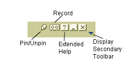 Pin, Recording, Help, and Toolbar Icons