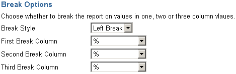 Shows report display options for column breaks