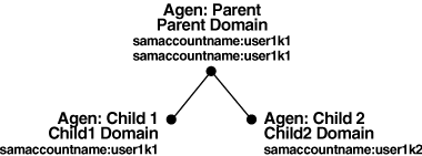 Image of a user ID residing in nodes in two domains.