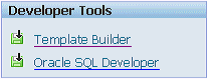 This image is an example of the Developer Tools section.