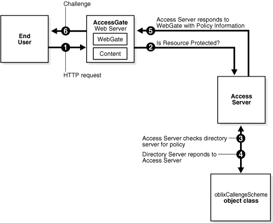 The Access System's Authentication Process