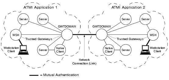 Mutual Authentication in the Delegated Trust Authentication Model