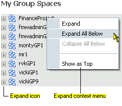 Expand icon and Expand context menu in RSS Manager