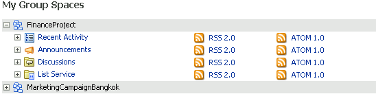Detail of the RSS Manager