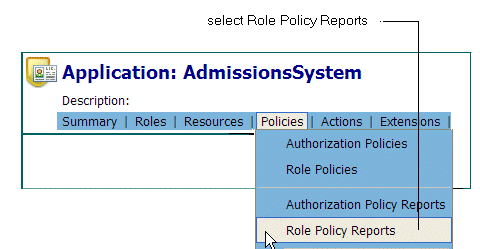Select Role Policy Reports