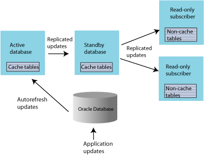 figure 1-14 read-only cache group replicated by an active