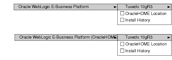 Tracking Multiple Oracle Home Directories on the Same Windows System