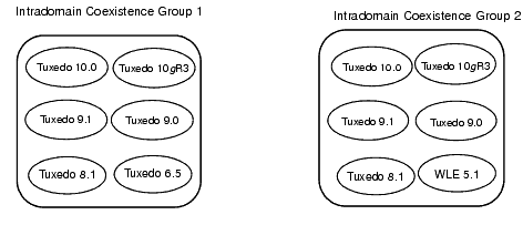 Intradomain Groups