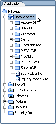 Major Components of the RTLApp DataServices Folder