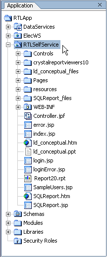 Major Components of the RTLApp RTLSelfService Folder
