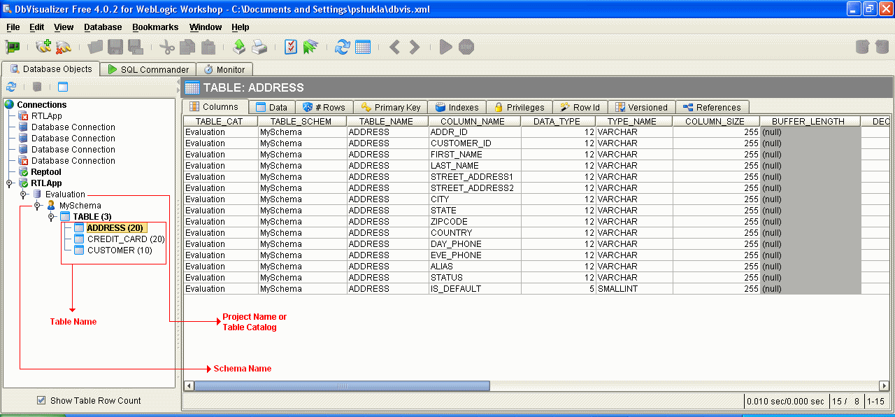 DbVisualizer View of DSP