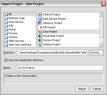 Importing Java Project