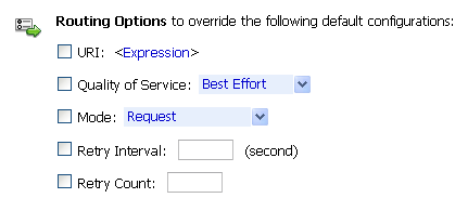 Routing Options Action Parameters