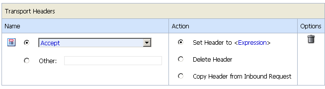 Individual Transport Header Action Configuration Options