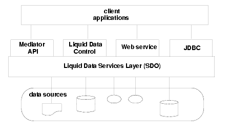 Accessing Liquid Data Services