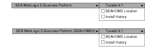 Tracking Multiple BEA Home Directories on the Same Windows System