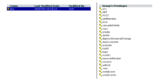 Privilege Group Representation in the Administration Console