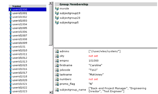 User Representation in the Administration Console