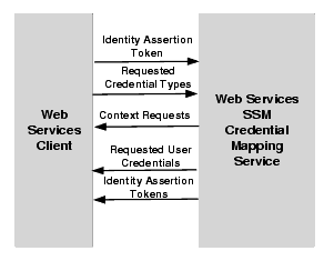 Credential Mapping Process