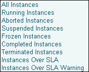 Process Instance Summary Page