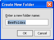 New Folder Dialog Box
