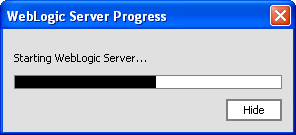 Server Startup Progress Meter
