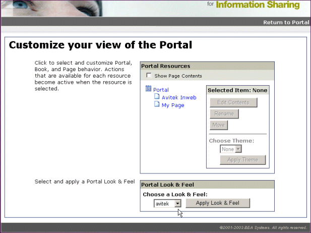 Customizing a portal