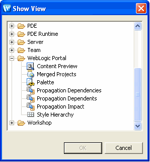 Show View Dialog with Merged Projects View Selected