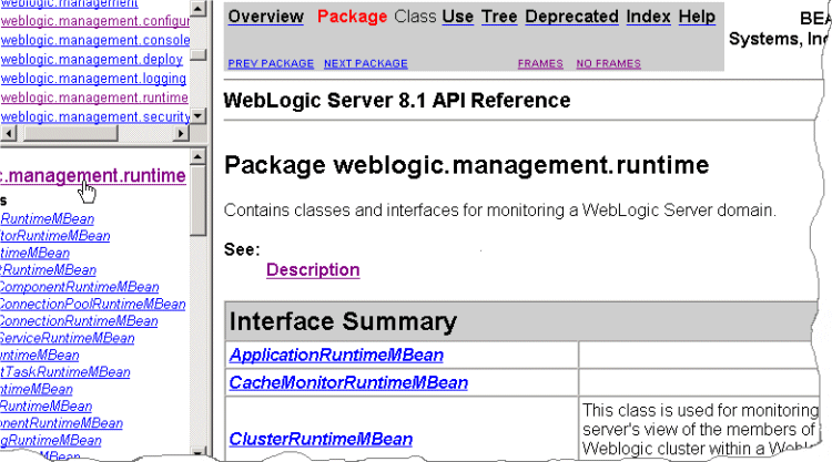 Javadoc for the runtime Package