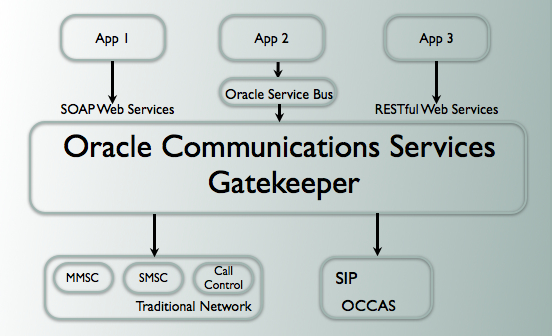 Oracle Communications Services Gatekeeper in Context