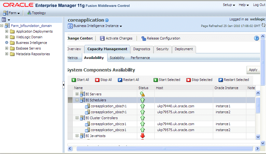 Fusion Middleware Control BI Availability tab