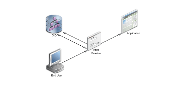 Technical illustration showing a user accessing a password protected application