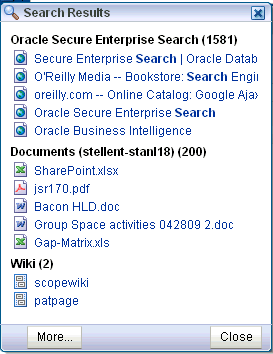 Search results window