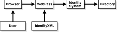 Information flow from browser to the directory.