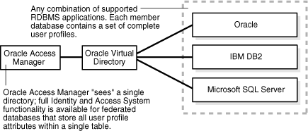OVD with federated RDBMS applications