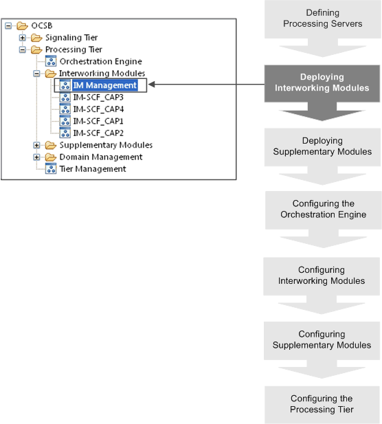 Processing Tier menu, Interworking Modules node.