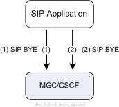Terminating a Call over a SIP Network