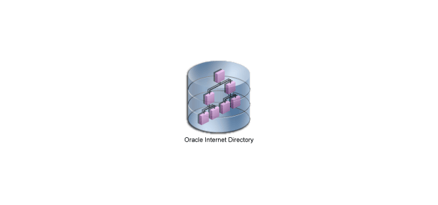 Technical illustration showing Oracle Internet Directory