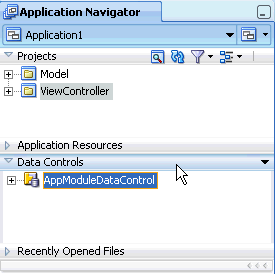 Data Controls Panel in the Application Navigator