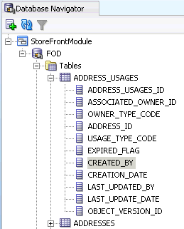 Shows the history columns for a table in FOD schema.