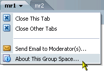 About This Group Space option on a group space actions menu