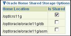 Oracle Home Shared Storage Options