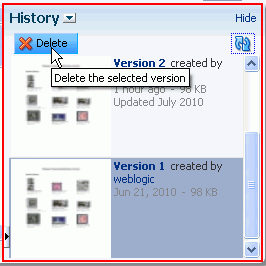 Delete button on the Version History screen