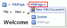 Opening a Wiki Documented