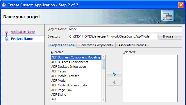 Create custom application, enter project name