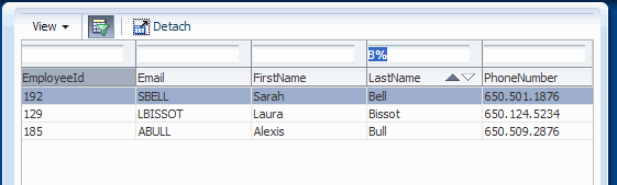 Run time view as before with B% in Filter field at top of LastName column. 3 names are displayed starting with B.