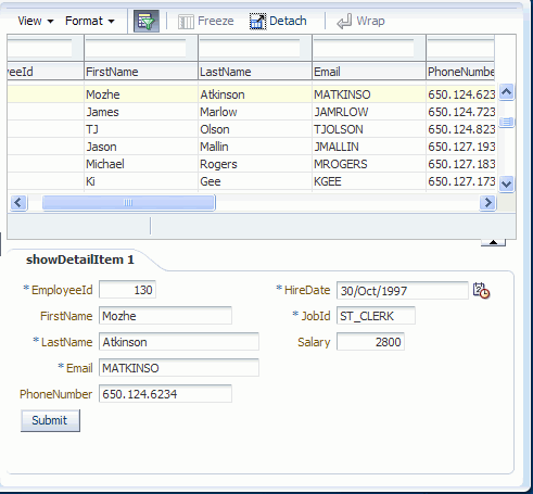 Runtime view of page with showDetailItem tab. Fields have been ordered into two columns.