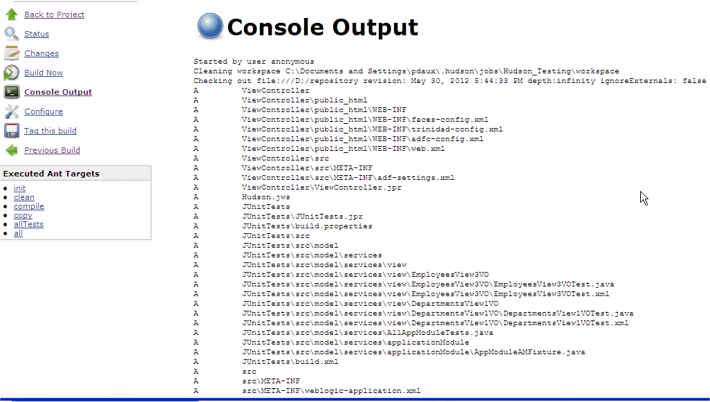 Displaying the console output