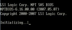 Figure showing LSI MPT BIOS screen.