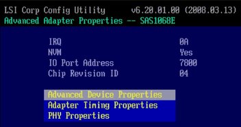 Figure showing LSI Configuration Utility screen.